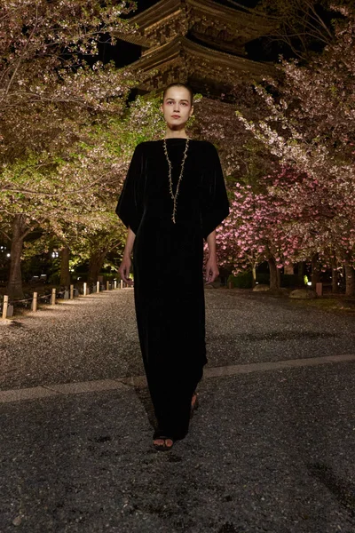 Look 66